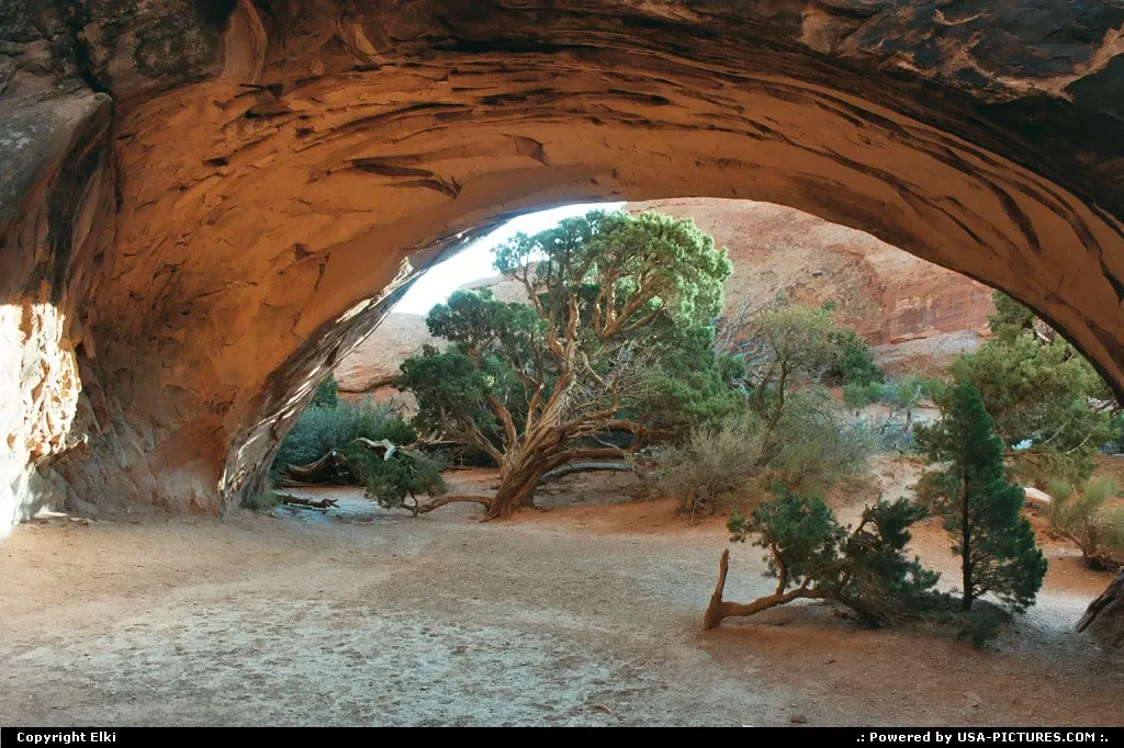 Under the arche