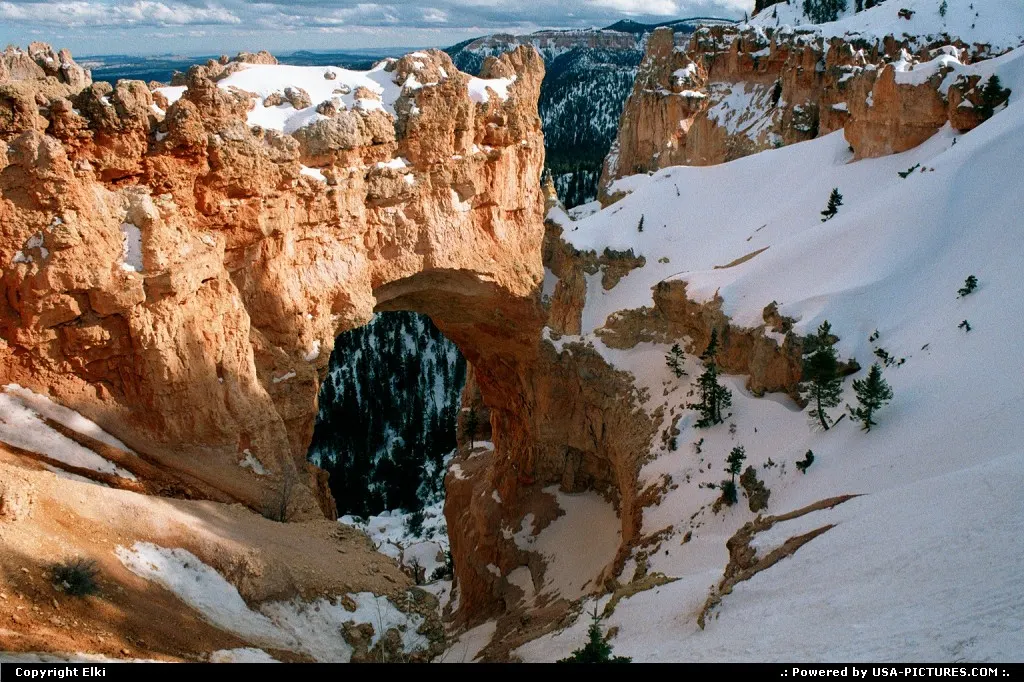 Bryce, under the snow