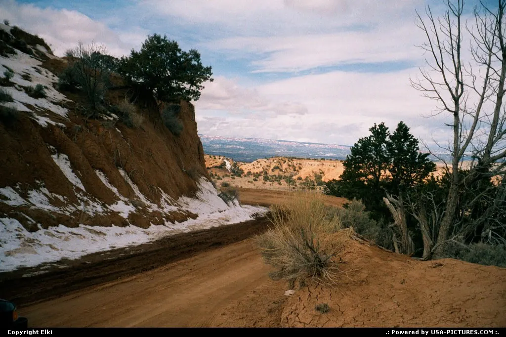 Unpaved road, Cottonwood