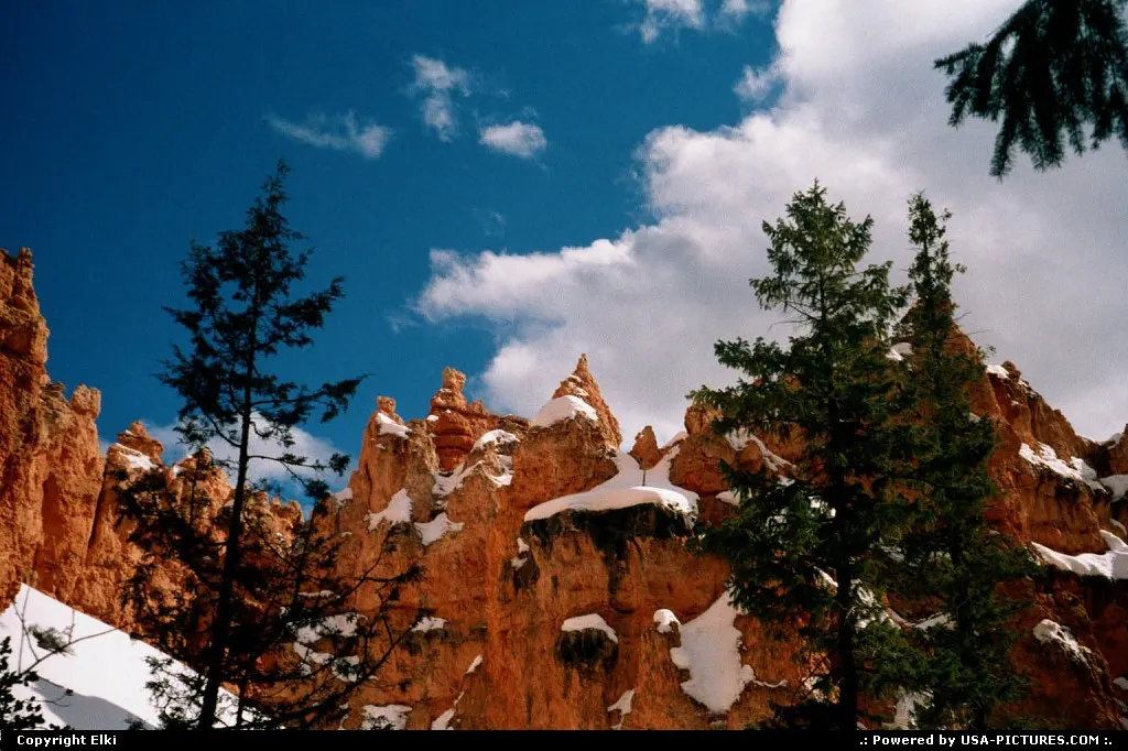 Bryce, under the snow