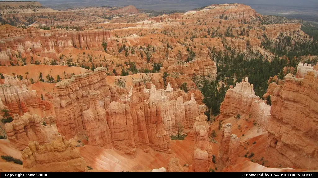 Descending into Bryce Canyon on Navajo Trail.