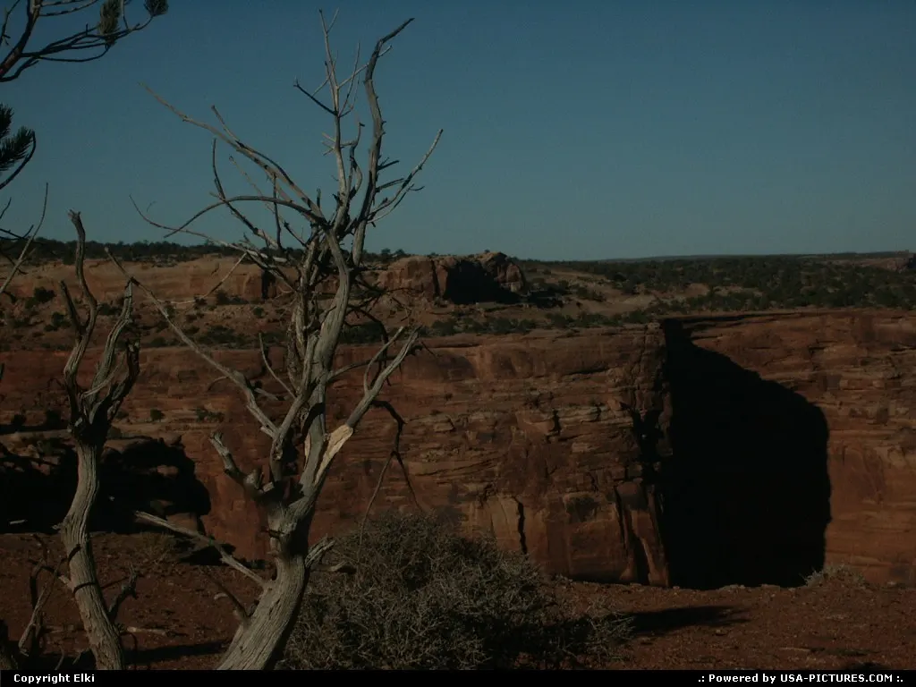 Wild Wide West