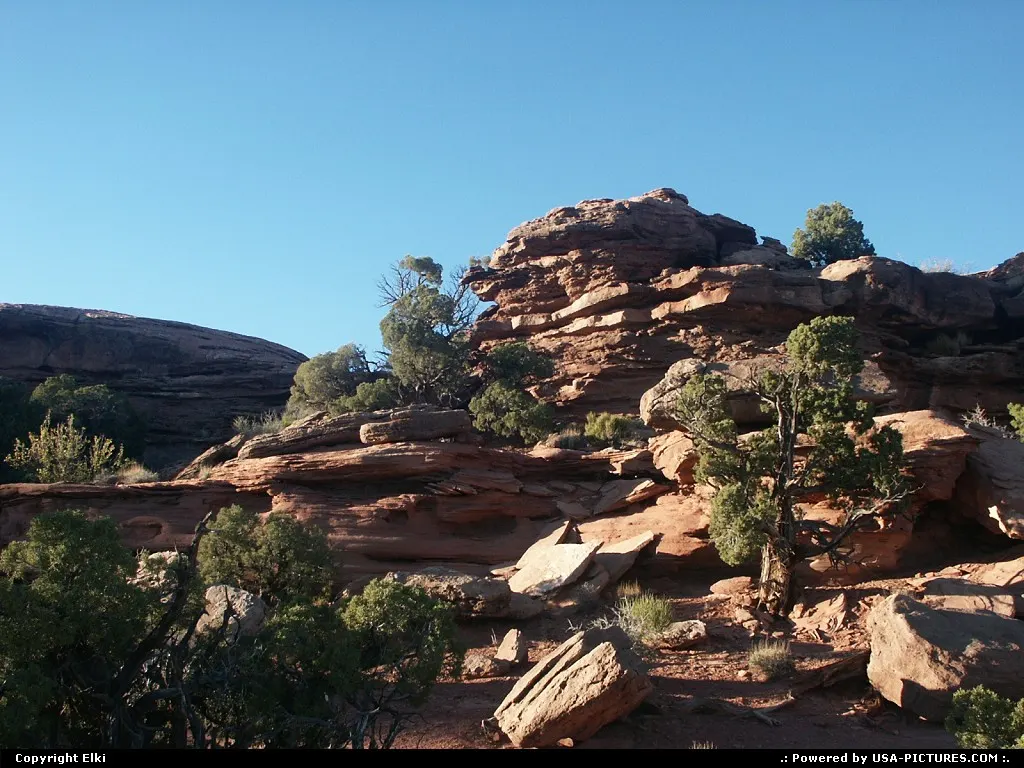 Rocks and trees