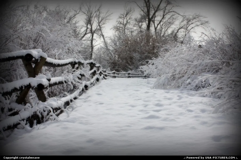 Not in a City Utah snowy fence
