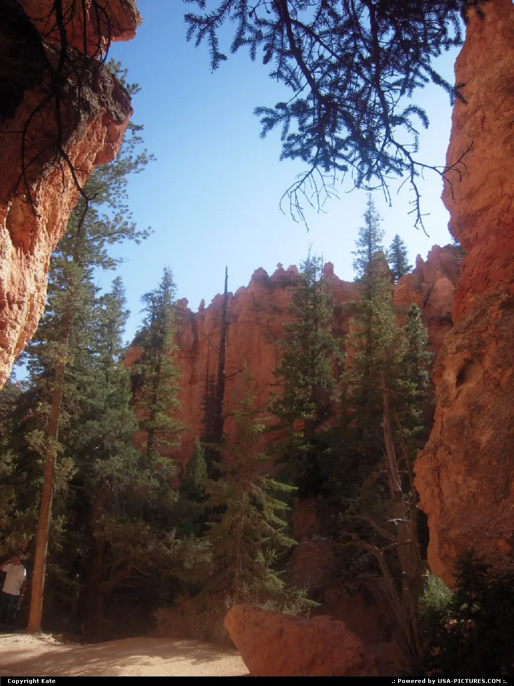 Utah Bryce Canyon