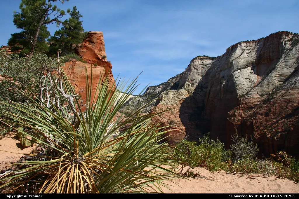 Zion National Park. Angels Landing.