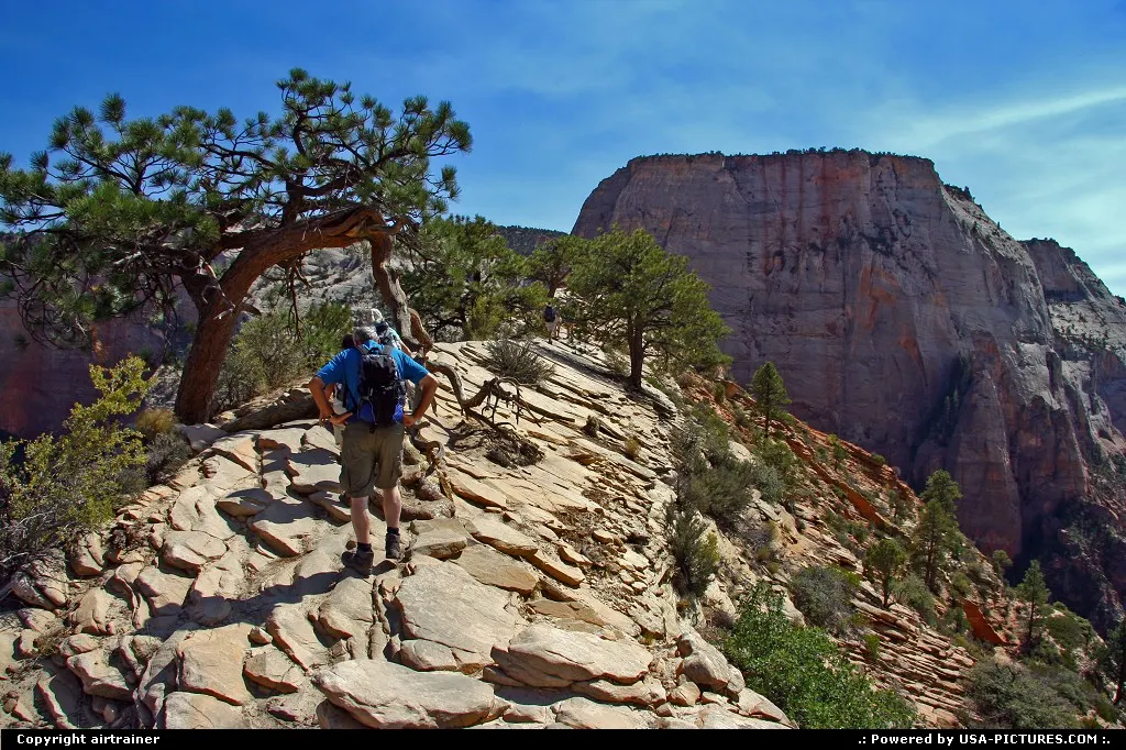 Zion National Park. Angels Landing, just a few more steps and you're done !