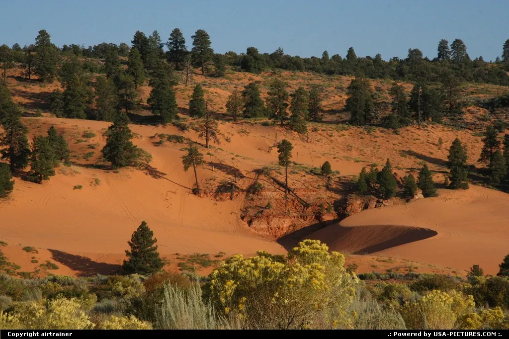 Coral Pink Sand Dunes state park...