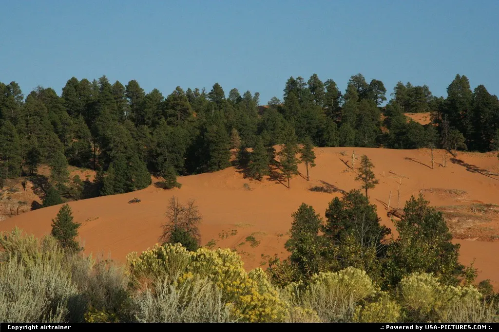 Coral Pink Sand Dunes state park.