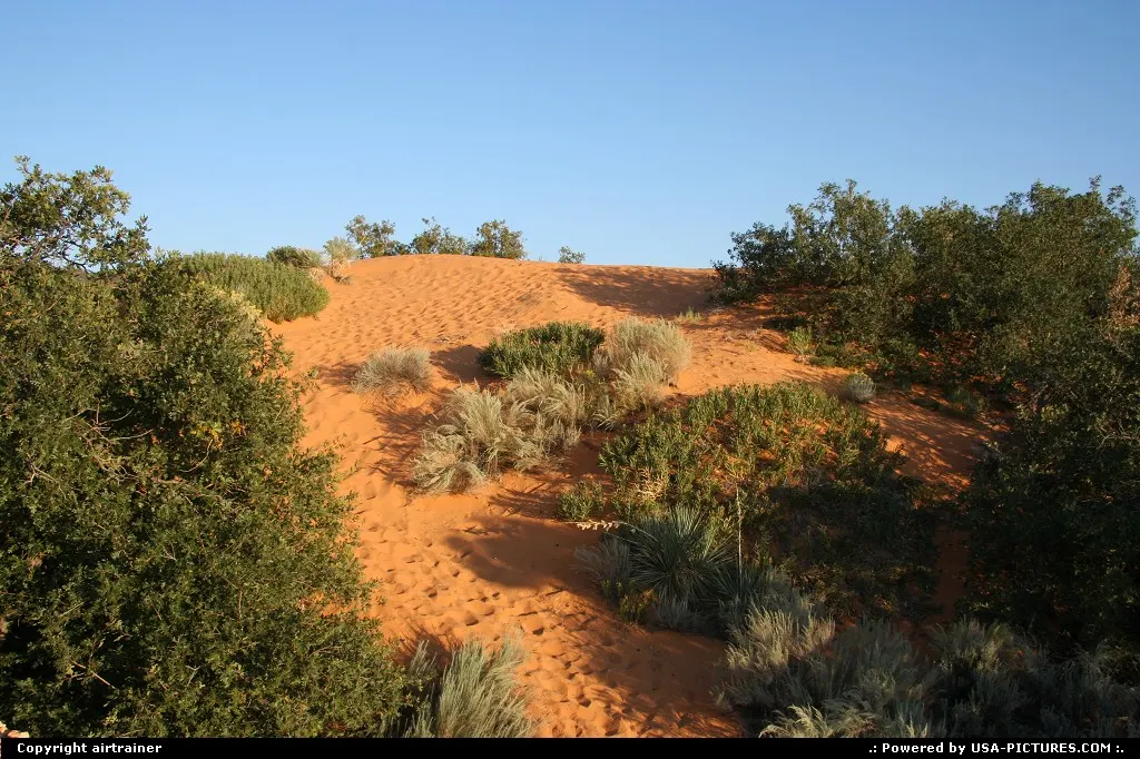 Coral Pink Sand Dunes state park.
