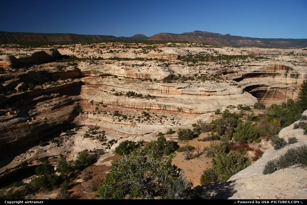 Natural Bridges National Monument.