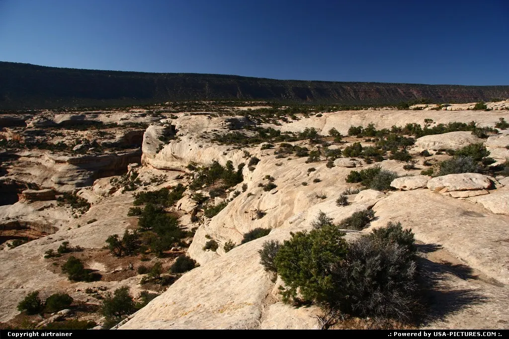 Natural Bridges National Monument.