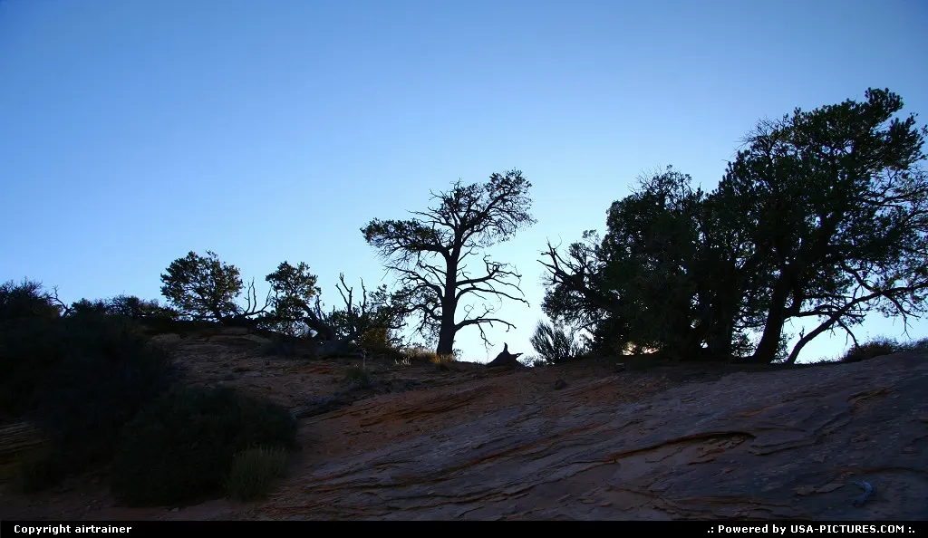 Natural Bridges National Monument.