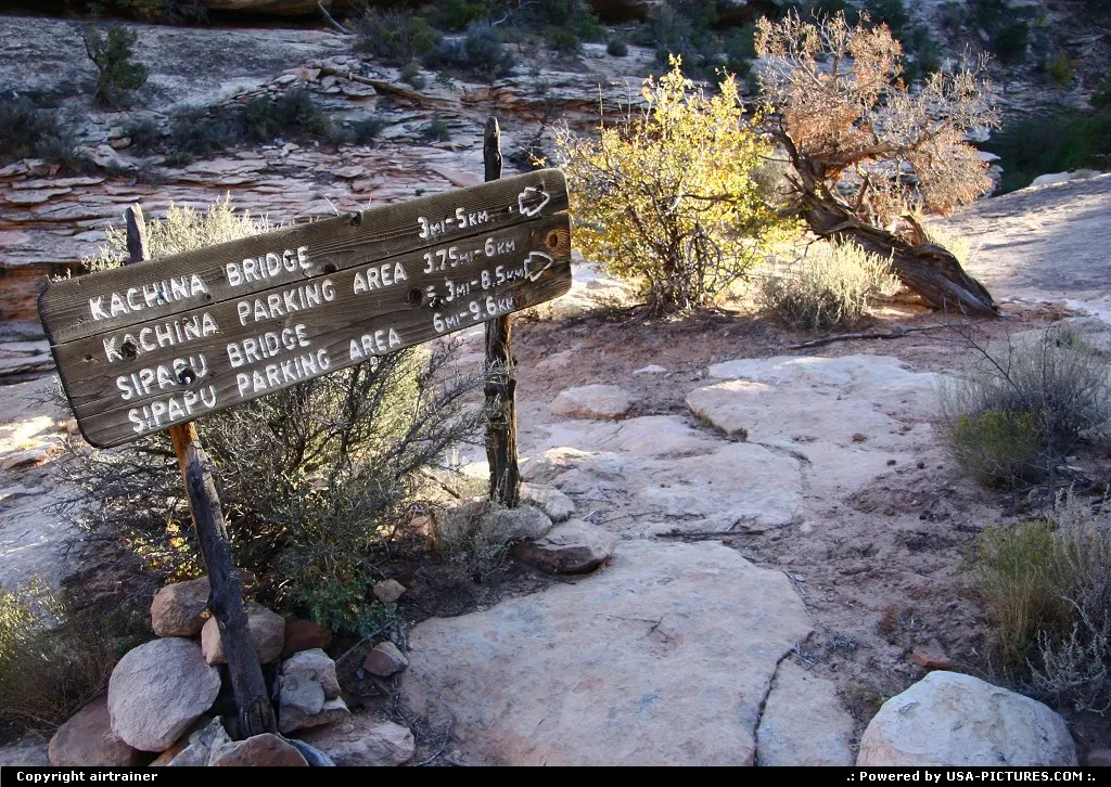 Natural Bridges National Monument.