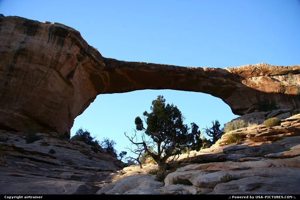 Natural Bridges National Monument.
