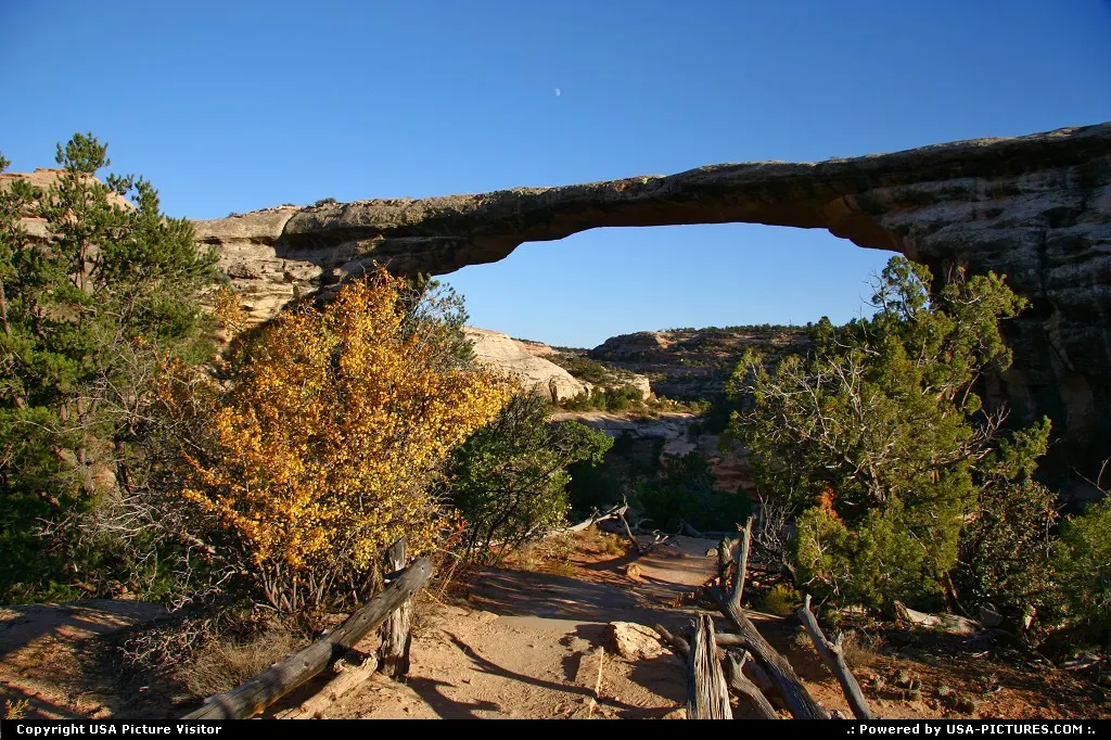 Natural Bridges National Monument.