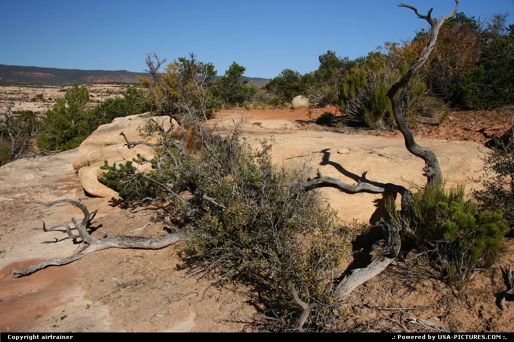 Natural Bridges National Monument.