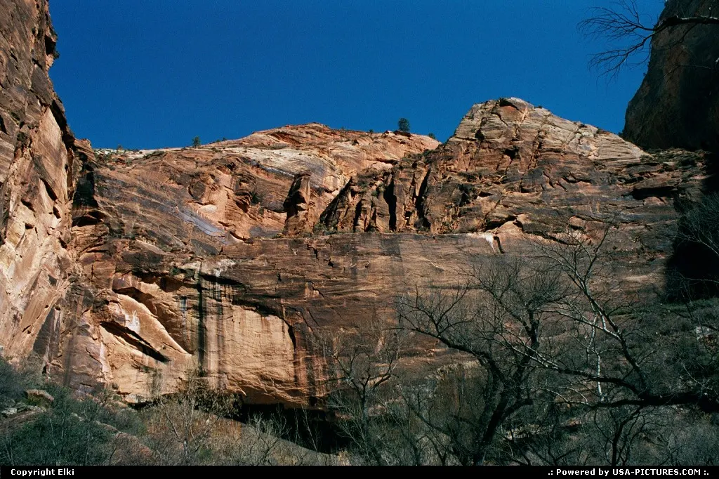 Pure beauty of Zion