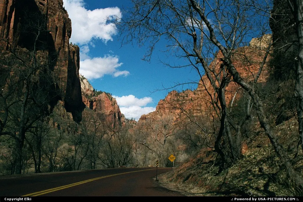 Dead end road in the park