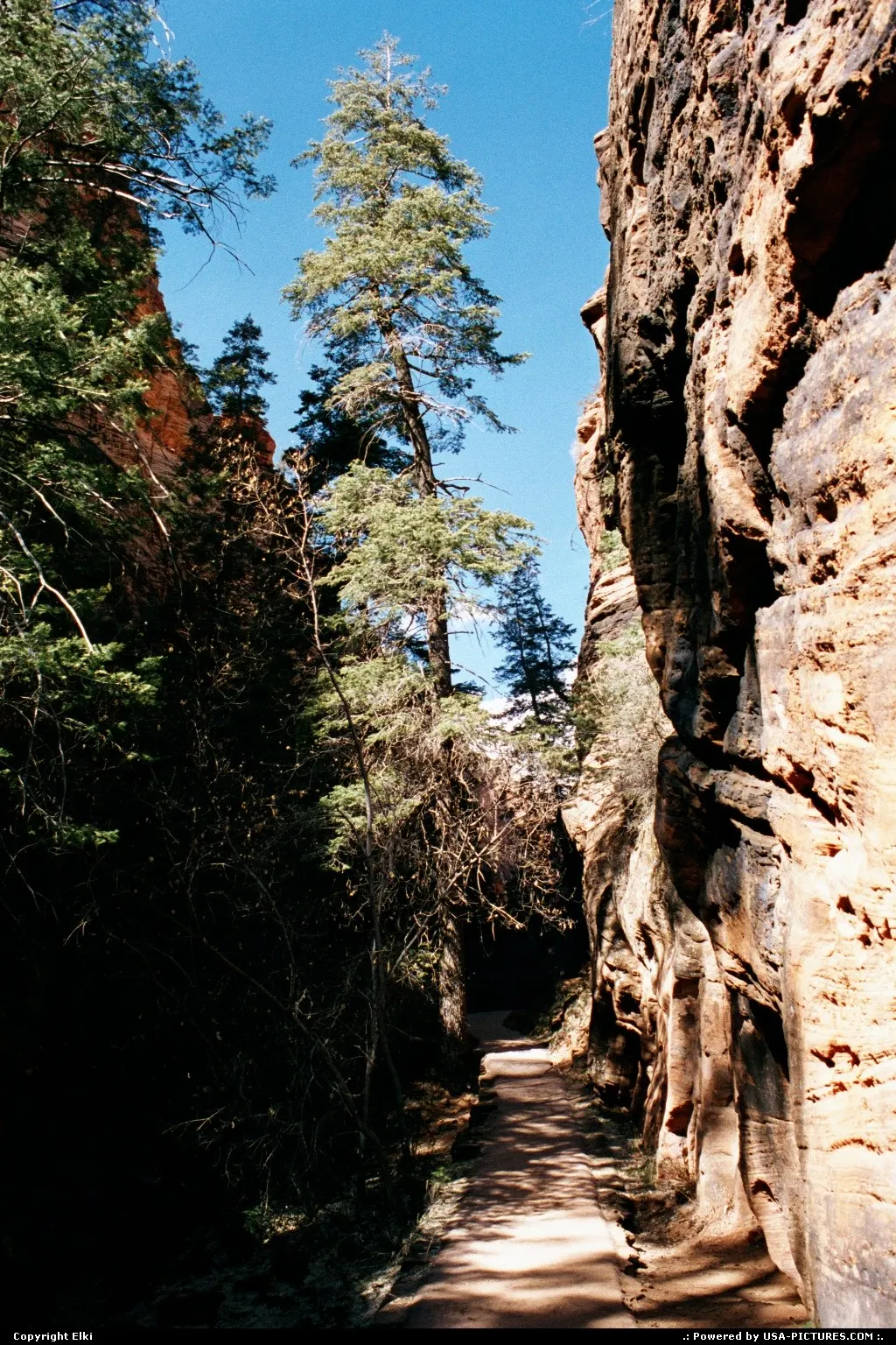 En route to Angels Landing