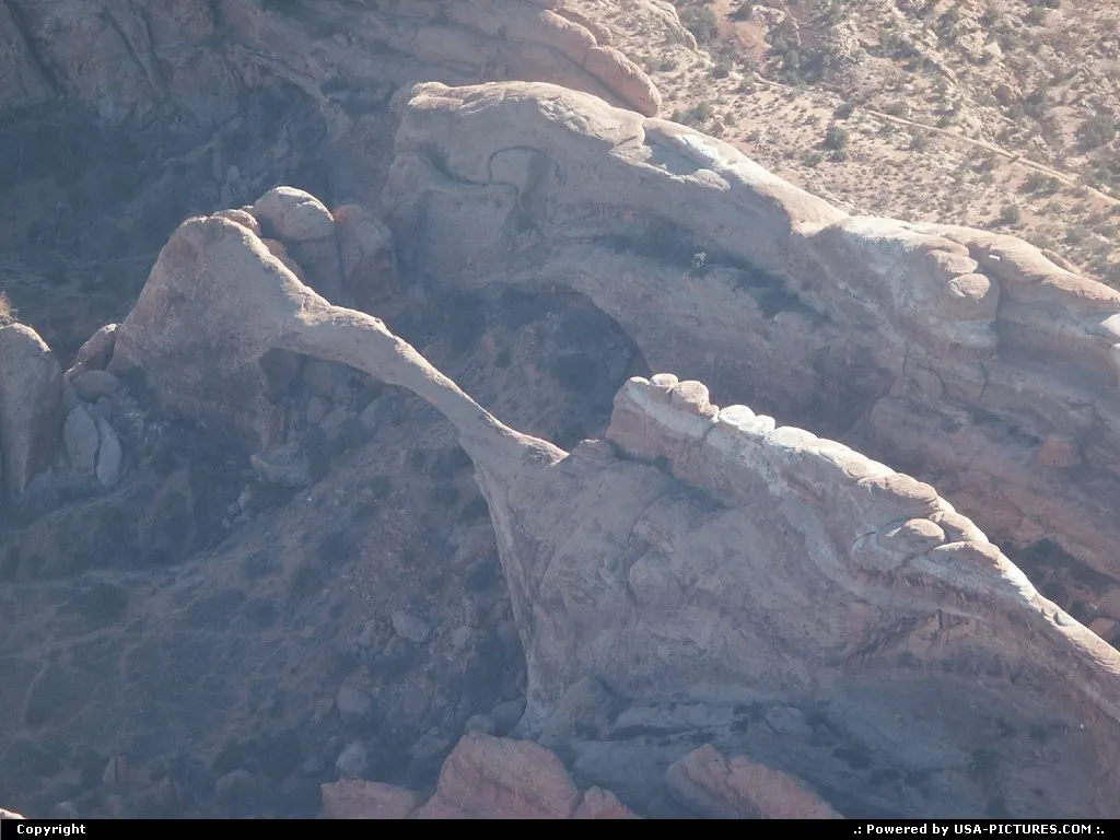 That picture doesn't serve Landscape Arche as it should.