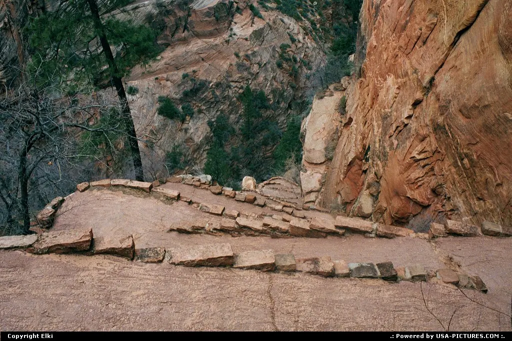 On the way back, after Angels Landing