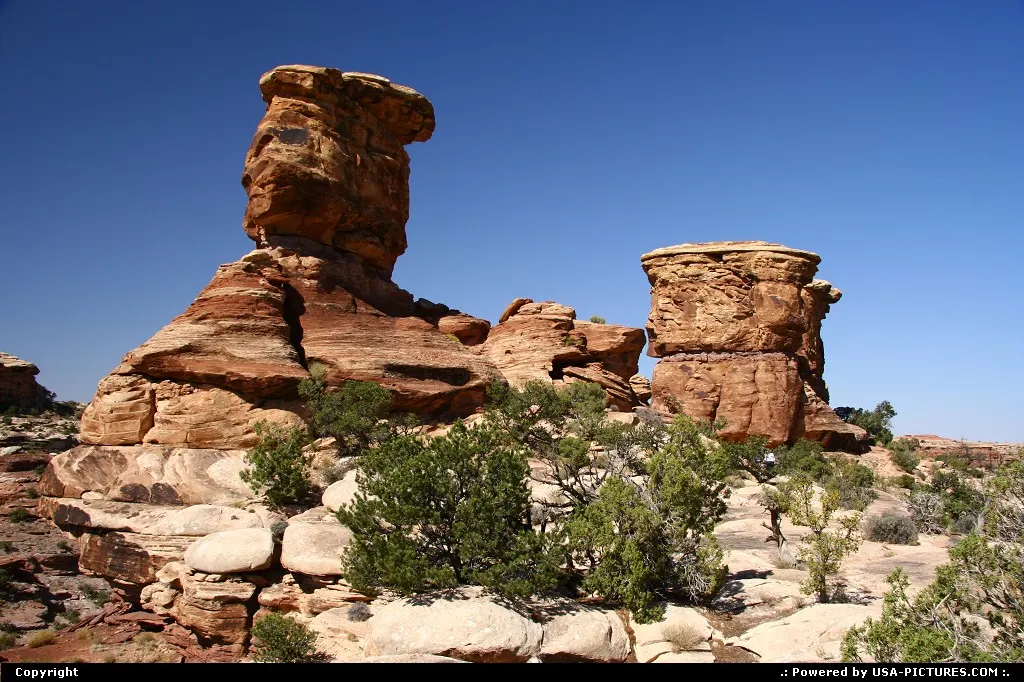 The Needles, Canyonlands National Park.