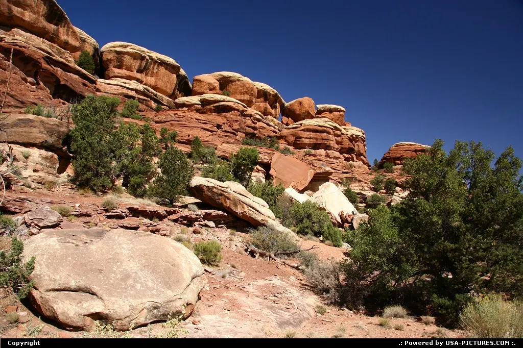The Needles, Canyonlands National Park.