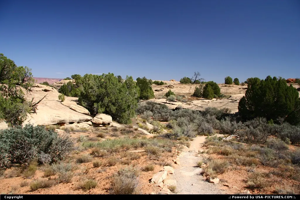 The Needles, Canyonlands National Park.