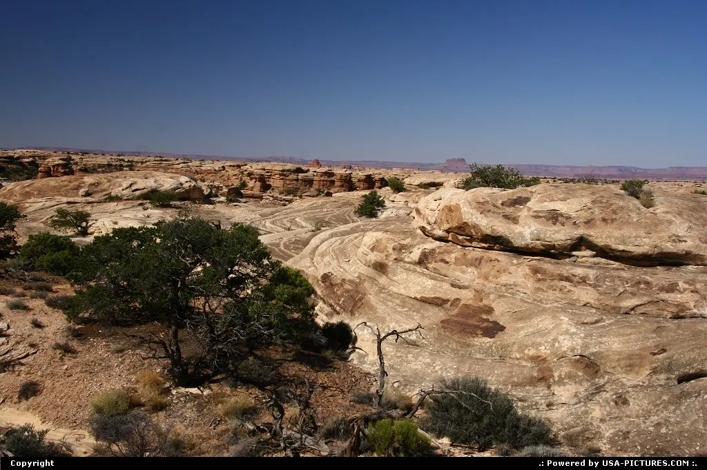 The Needles, Canyonlands National Park.
