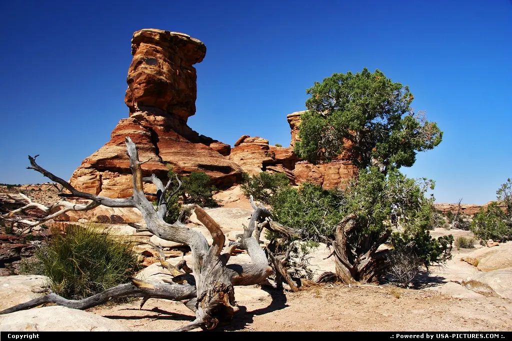 The Needles, Canyonlands National Park.