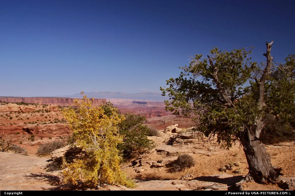 Canyonlands National Park.