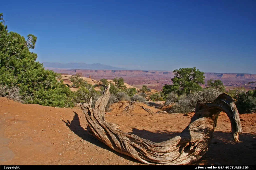 Beautiful landscape of Canyonlands NP.