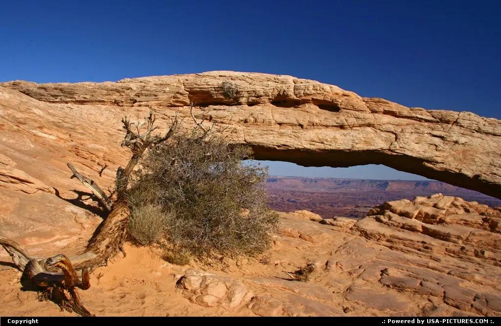 Mesa Arch.