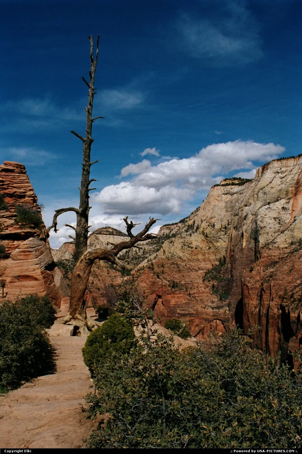 Last step before Angels Landing
