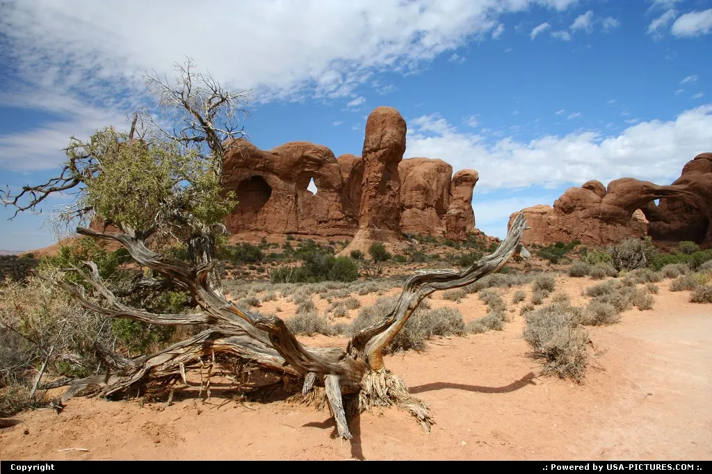 Arches National Park. Can you spot Double Arch in the right of the photo ?