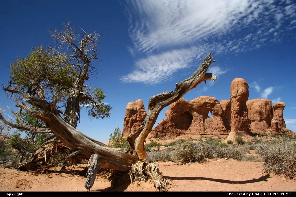 Double Arche trail.