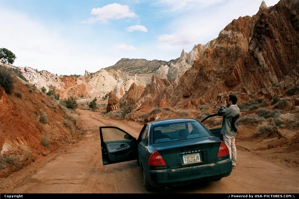 Not in a City Utah cottonwod, trail, unpaved road