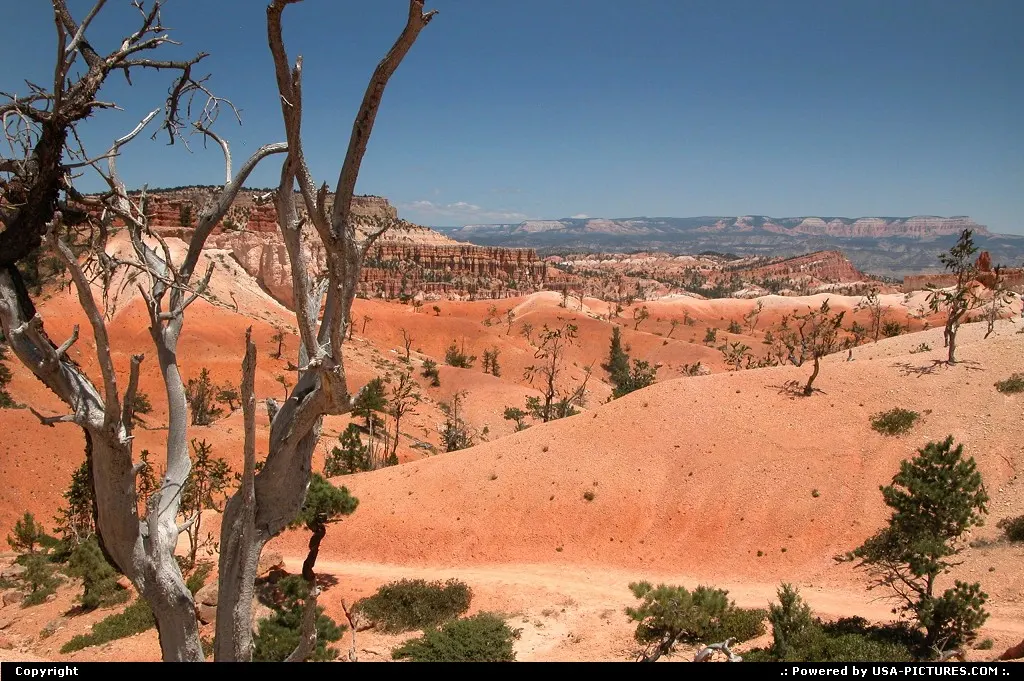 Bryce Canyon NP
