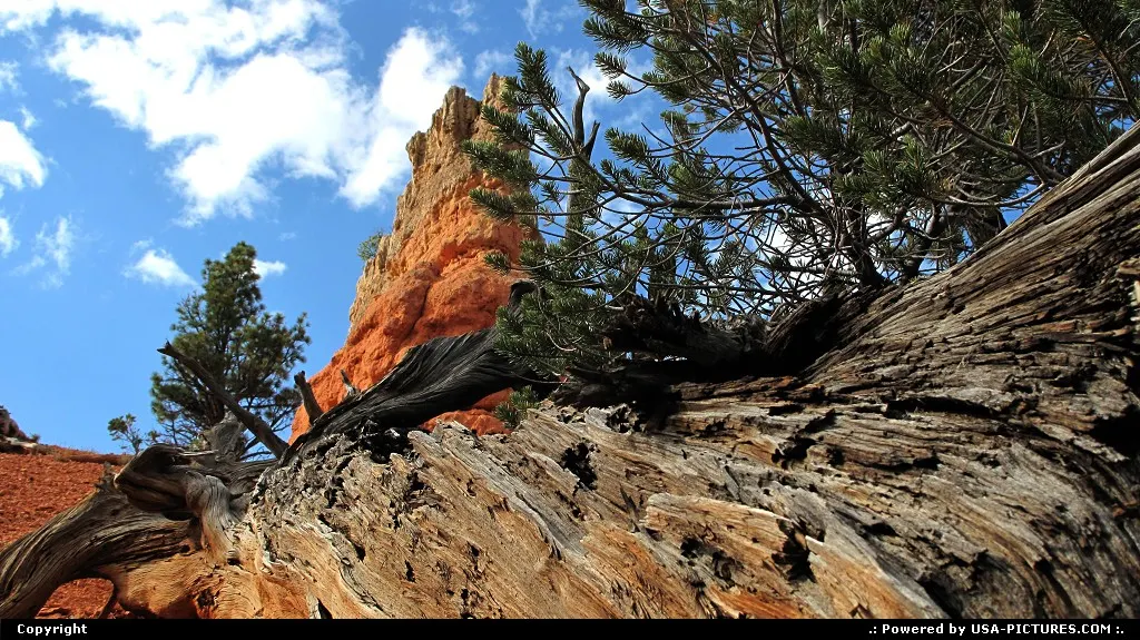 BRYCE CANYON NP