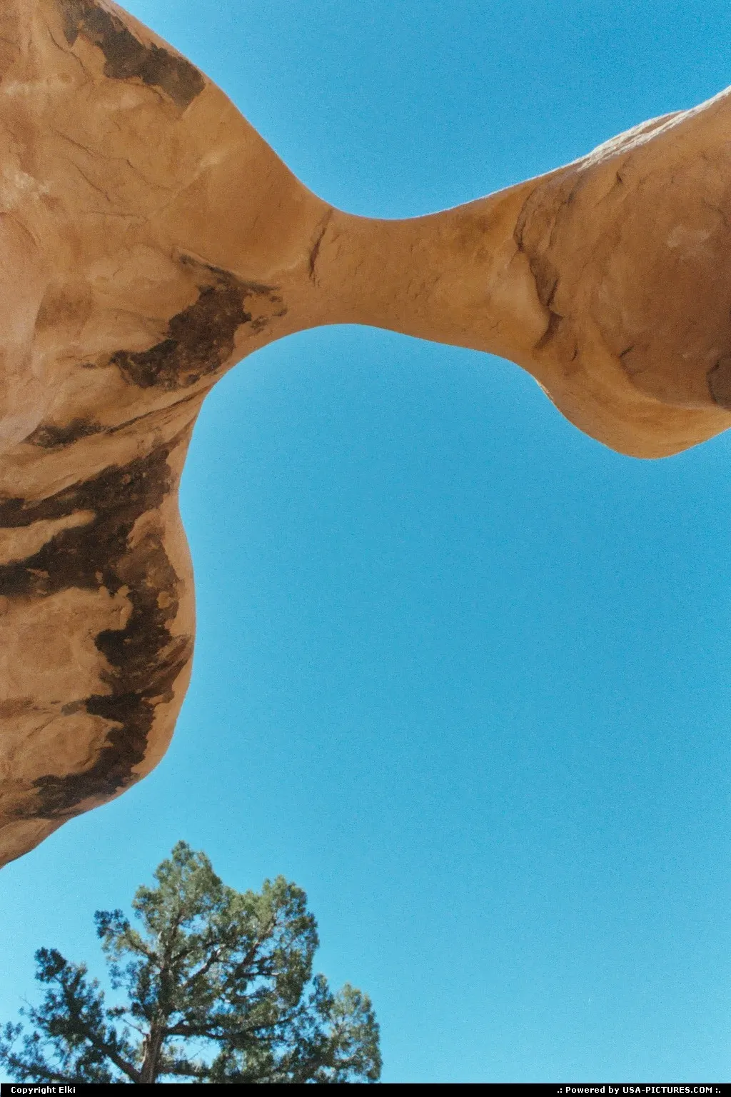 Devil's Garden, located in the Escalante Grand Staircase National Monument.