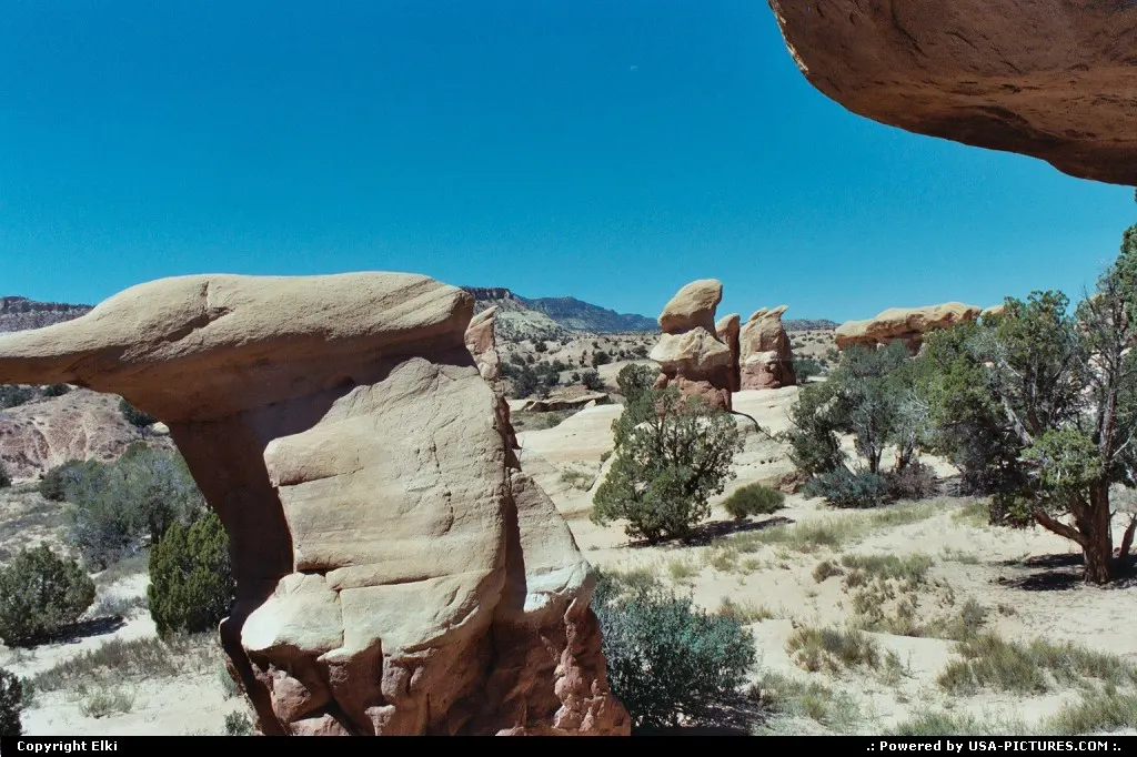 Devil's Garden, located in the Escalante Grand Staircase National Monument.