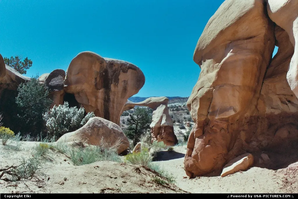 Devil's Garden, located in the Escalante Grand Staircase National Monument.