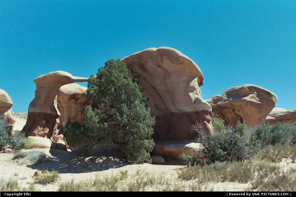 Devil's Garden, located in the Escalante Grand Staircase National Monument.
