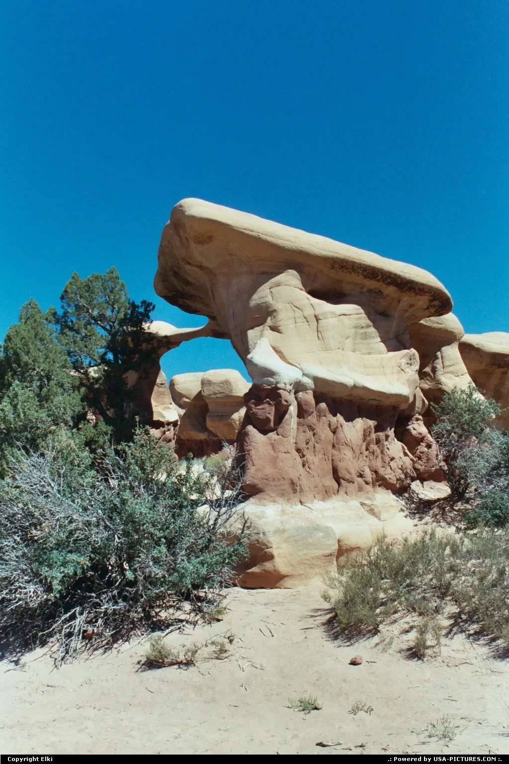 Devil's Garden, located in the Escalante Grand Staircase National Monument.