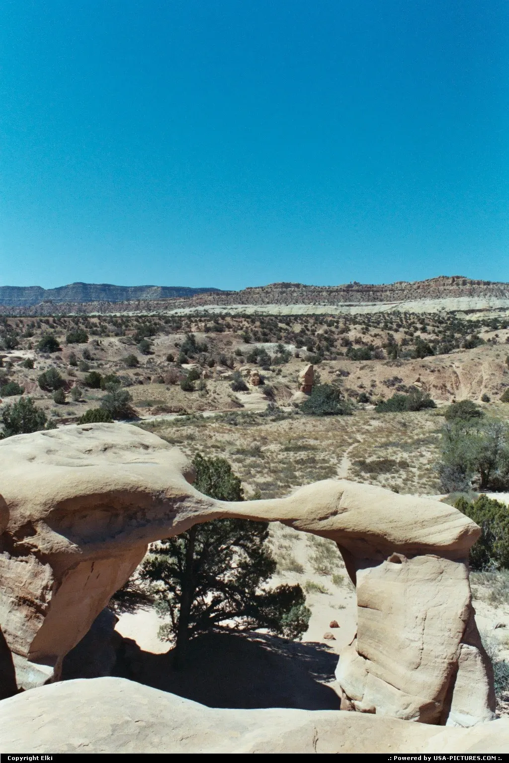 Devil's Garden, located in the Escalante Grand Staircase National Monument.