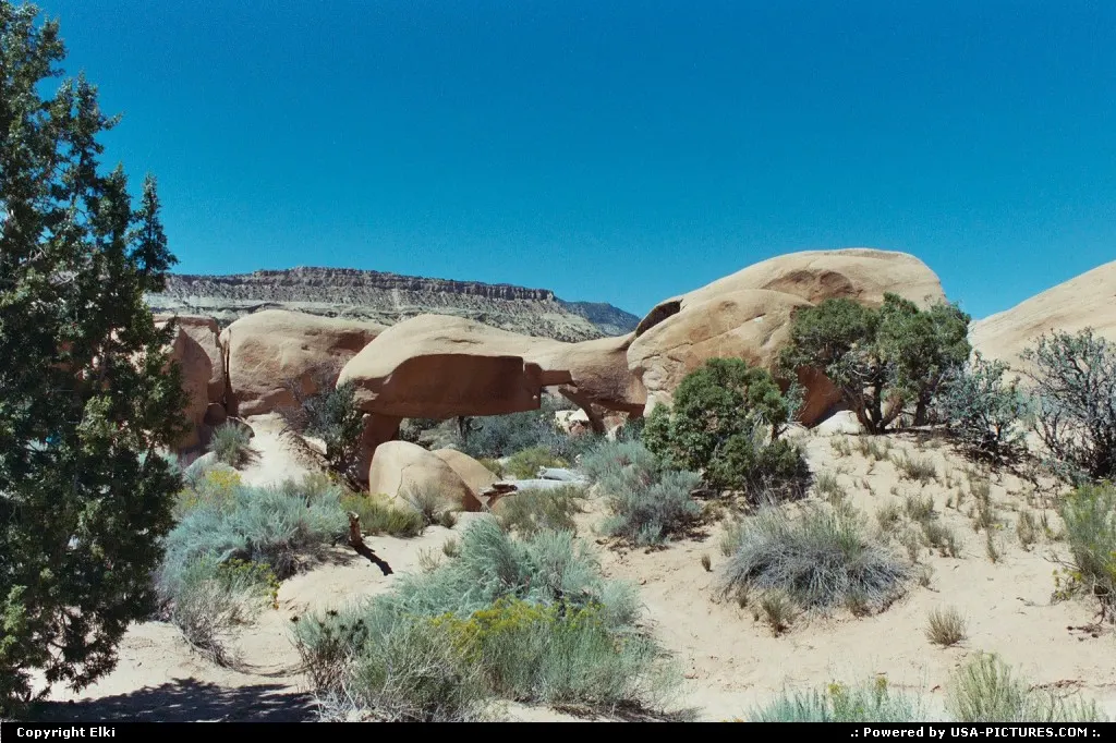 Devil's Garden, located in the Escalante Grand Staircase National Monument.