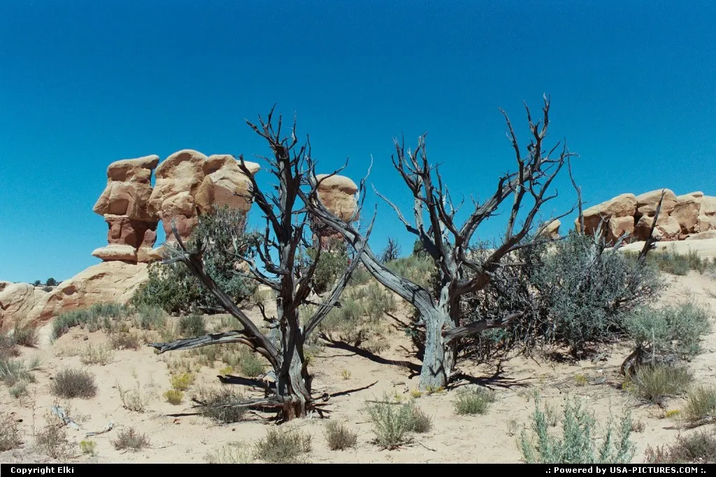 Devil's Garden, located in the Escalante Grand Staircase National Monument.