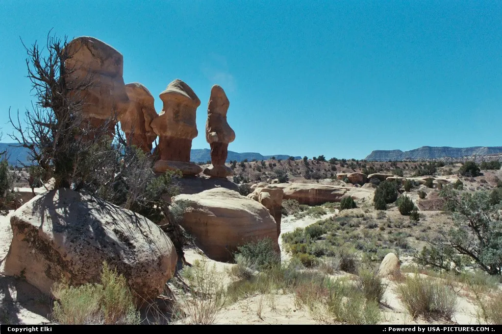 Devil's Garden, located in the Escalante Grand Staircase National Monument.