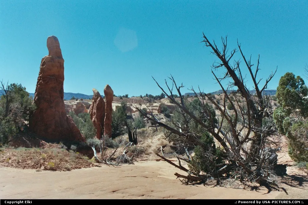 Devil's Garden, located in the Escalante Grand Staircase National Monument.